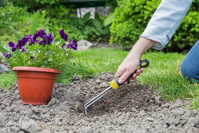 gardening-6803866_640